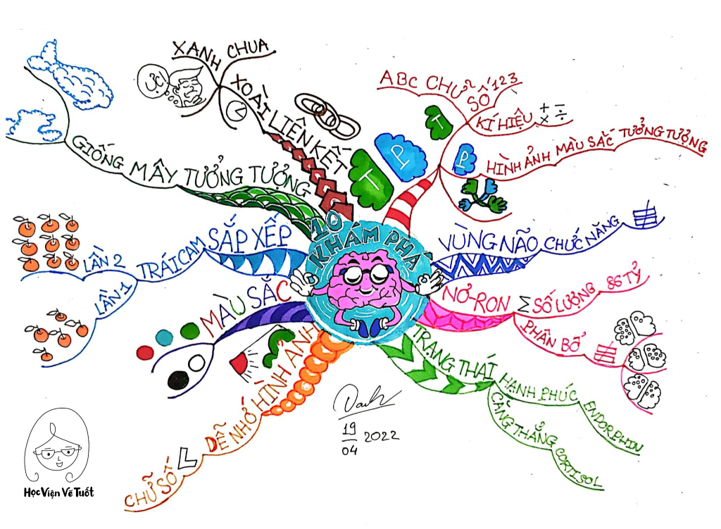 Tự Học Mindmap Cơ Bản – Hướng Dẫn Chi Tiết Cho Người Mới Bắt Đầu 12 bi mat cua nao bo